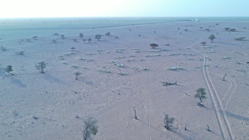 Réserve des espèces vivantes et de la vie fongique dans le gouvernorat d’Al Wusta – Hayma