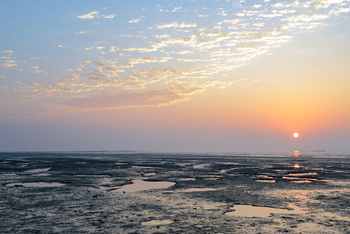  Al Wusta Wetlands Reserve