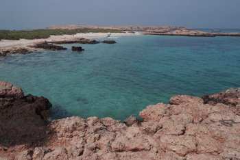 Reserva Natural de las Islas Daymaniyat