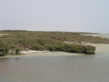 Reserva de Humedales