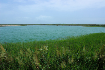 Reserva de Khor Taqah 