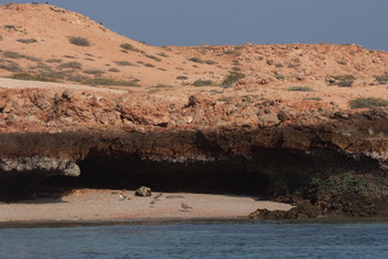 محمية جزر الديمانيات الطبيعية