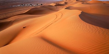 Sables de Wahiba 