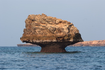Daymaniyat Islands Nature Reserve
