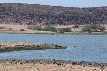 Khawr Rawri Natural Reserve