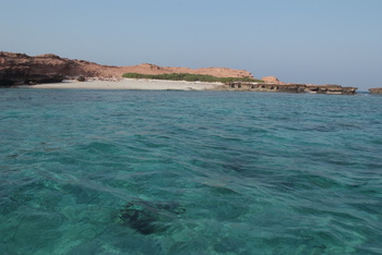 Réserve naturelle des îles Dimaniyat