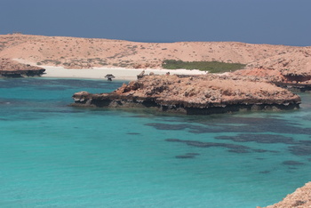 Réserve naturelle des îles Dimaniyat