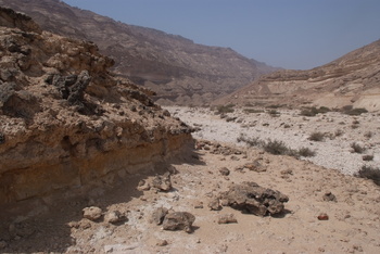 Jabal Samhan Nature Reserve
