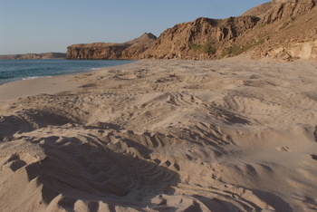 Reserva de las Tortugas en la Gobernación de Al Sharqiyah del Sur – Ras Al Hadd