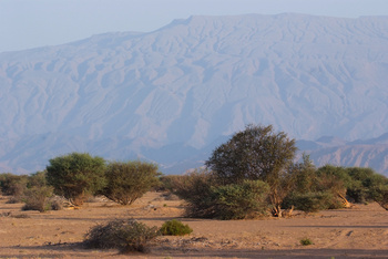 Reserva Natural de Al Saleel