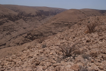 Reserva de Jabal Samhan