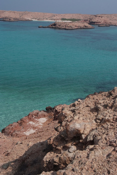 محمية جزر الديمانيات الطبيعية
