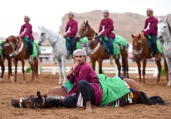 Caballos y Camellos