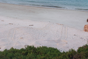 Daymaniyat Islands Nature Reserve