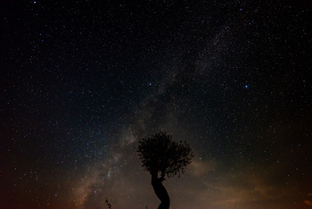 Reserva de Al Hajar Al Gharbi para la Observación de Estrellas en la Gobernación de Al Dakhiliyah