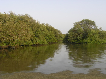 Reserva de Humedales