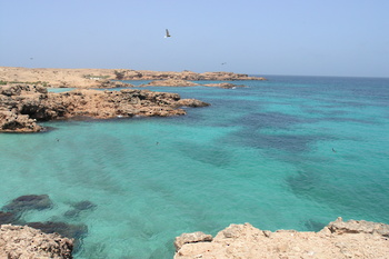 Daymaniyat Islands Nature Reserve