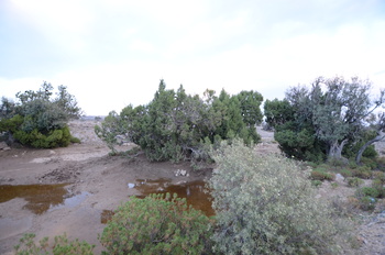 Réserve paysagère d\'Al Jabal Al Akhdar