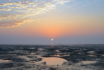  Al Wusta Wetlands Reserve