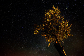 Reserva de Al Hajar Al Gharbi para la Observación de Estrellas en la Gobernación de Al Dakhiliyah