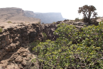 Jabal Samhan Nature Reserve