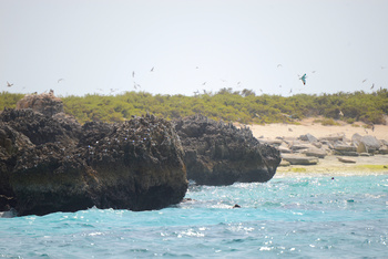 Réserve naturelle des îles Dimaniyat