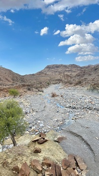 Reserva Natural de Al Sareen 