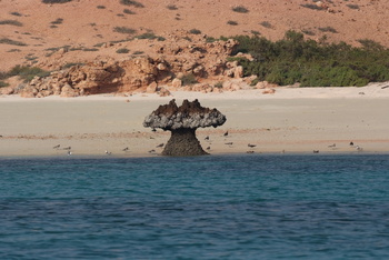 Daymaniyat Islands Nature Reserve