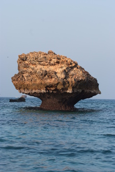 Daymaniyat Islands Nature Reserve