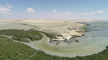  Al Wusta Wetlands Reserve