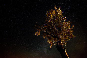 Al Jabal Al Gharbi Starlight Reserve