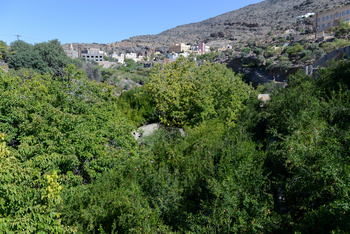 Réserve paysagère d\'Al Jabal Al Akhdar