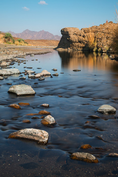 Wildlife in Oman