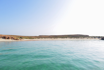 Réserve naturelle des îles Dimaniyat