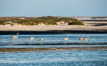 Reserva de Humedales