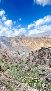 Reserva Natural de Al Sareen 
