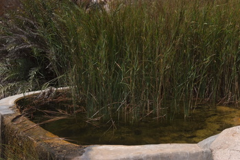 Réserve du Jabal Samhan  