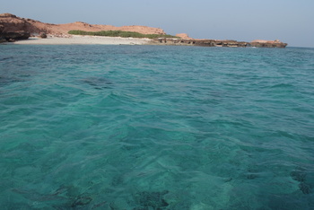 Réserve naturelle des îles Dimaniyat
