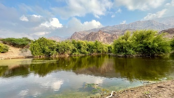 Réserve naturelle d’Al Sarin 