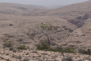 Réserve du Jabal Samhan  