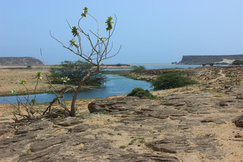 Reserva de Khor Rori