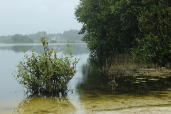 Réserve de Khor Awqad