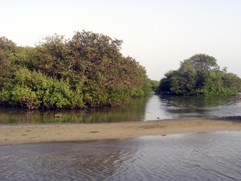 Reserva de Humedales