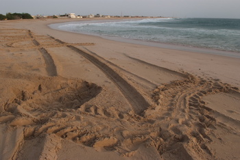 Reserva de las Tortugas en la Gobernación de Al Sharqiyah del Sur – Ras Al Hadd