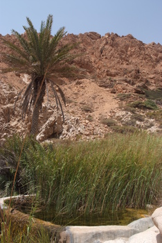 Jabal Samhan Nature Reserve