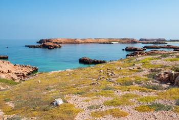 Réserve naturelle des îles Dimaniyat