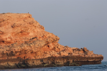 Daymaniyat Islands Nature Reserve
