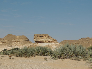 Reserva de Jabal Samhan