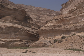 Jabal Samhan Nature Reserve