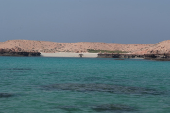 Réserve naturelle des îles Dimaniyat